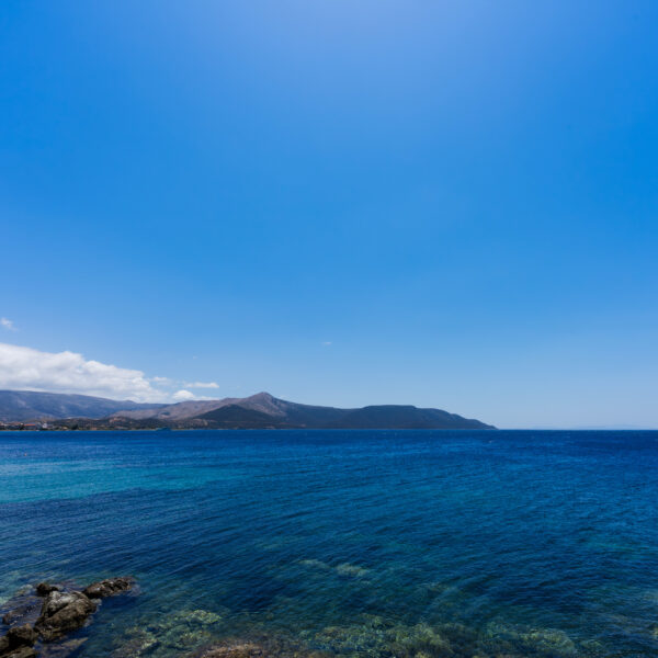 Collection of 21 clear blue cloudless skies in various shades.